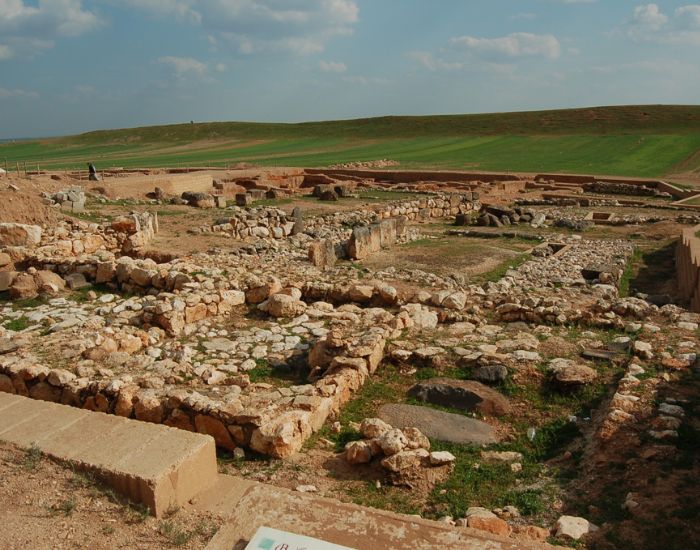 صورة المعرض