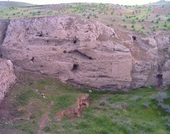 صورة المعرض