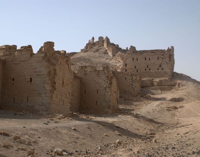 صورة المعرض