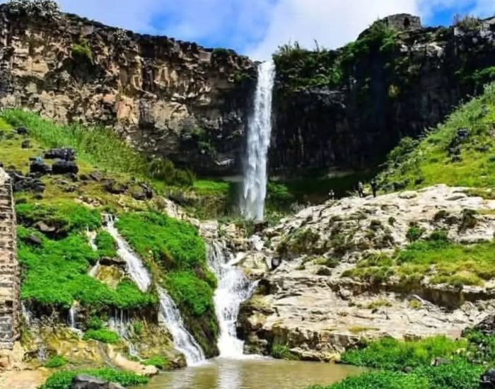 صورة المعرض