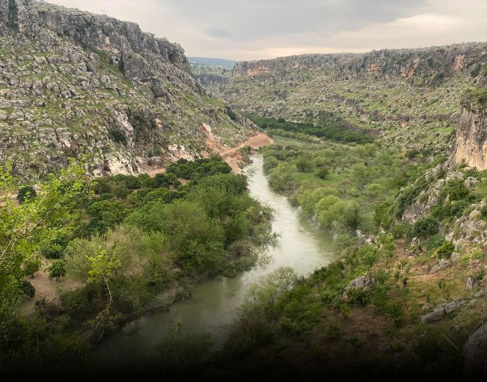 صورة المعرض