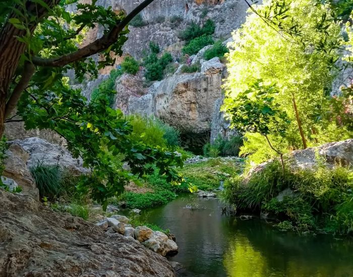 صورة المعرض