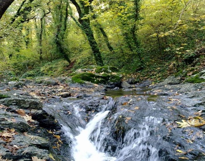 صورة المعرض