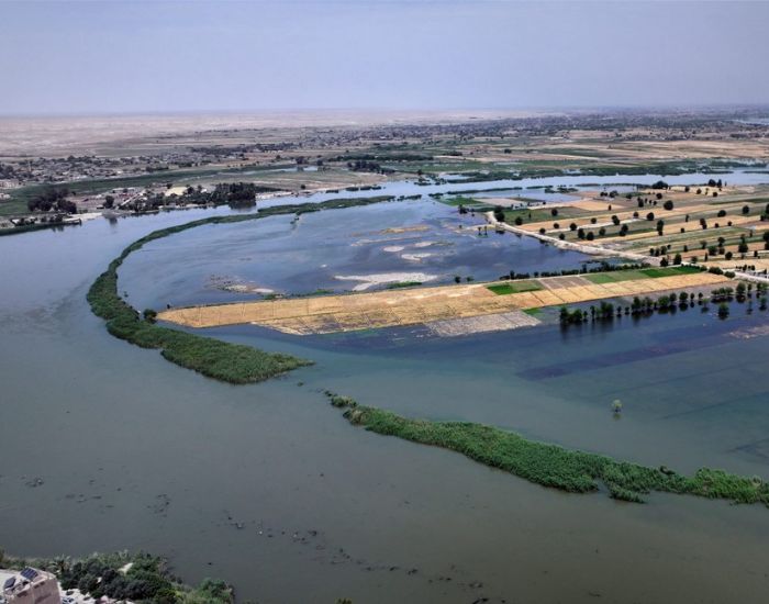 صورة المعرض