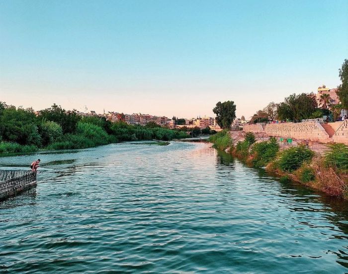 صورة المعرض