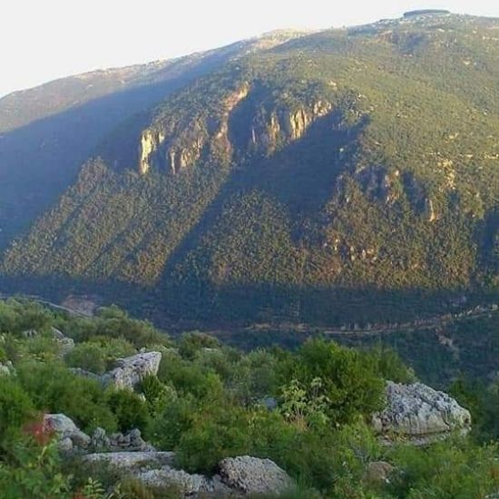 صورة