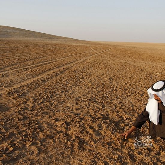عبور طريق البادية